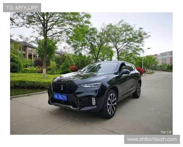 ds视讯官方官站为用户带来安全稳定的视讯体验与最新技术动态